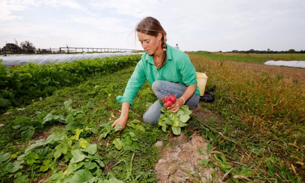 ΕΛΓΑ: Καταβολή αποζημιώσεων ύψους 22 εκατομμύρια ευρώ